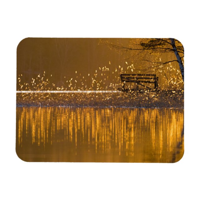 Eenvoudig bij het meer in het gouden licht magneet (Horizontaal)