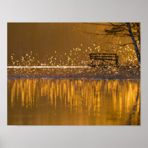 Eenvoudig bij het meer in het gouden licht poster