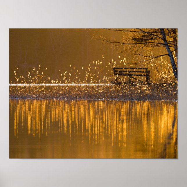 Eenvoudig bij het meer in het gouden licht poster (Voorkant)