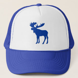 Eenvoudig blauw pet