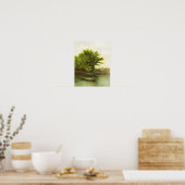Eenvoudig Boat op Pond met Lily Pads Poster (Keuken)