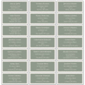 Eenvoudig Boho Sage Green Wedding Guest Adres Sticker (Voorkant)