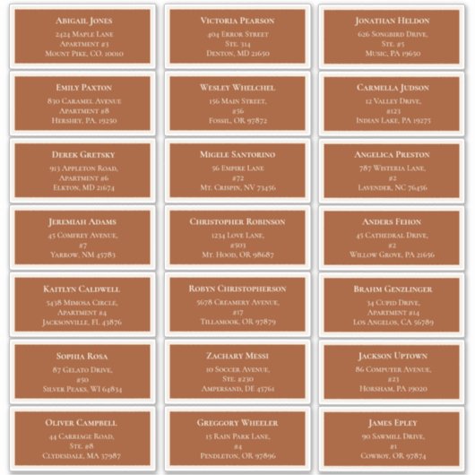 Eenvoudig Boho Terracotta Wedding Guest Adres Sticker (Voorkant)