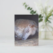 Eenvoudig Briefkaart (Staand voorkant)