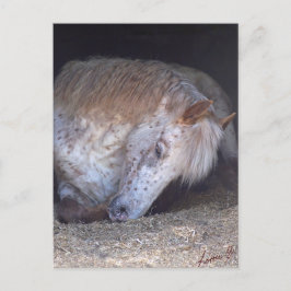 Eenvoudig Briefkaart