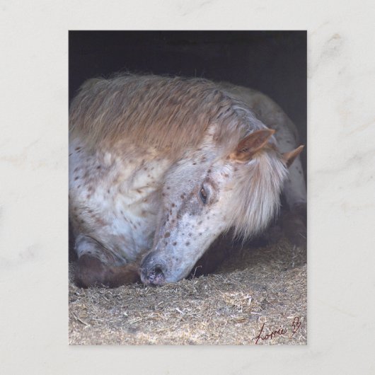 Eenvoudig Briefkaart (Voorkant)