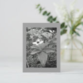 Eenvoudig Briefkaart (Staand voorkant)