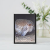 Eenvoudig briefkaart (Staand voorkant)