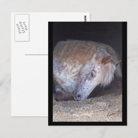 Eenvoudig briefkaart (Voorkant / Achterkant)