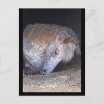 Eenvoudig briefkaart