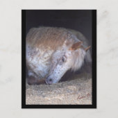 Eenvoudig briefkaart (Voorkant)