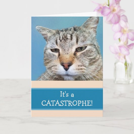 Eenvoudig Cat Custom Miss You Kaart (Orchidee)