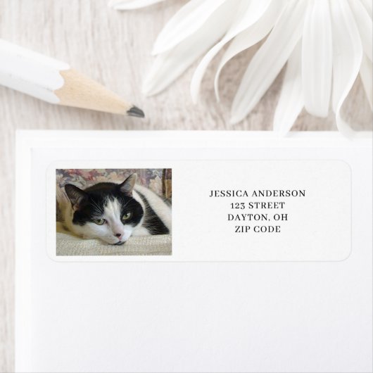 Eenvoudig Cat Photo Return-adres Etiket (Insitu)