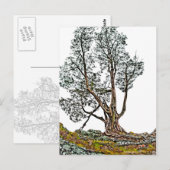 Eenvoudig Cypress Briefkaart (Voorkant / Achterkant)