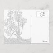 Eenvoudig Cypress Briefkaart (Achterkant)