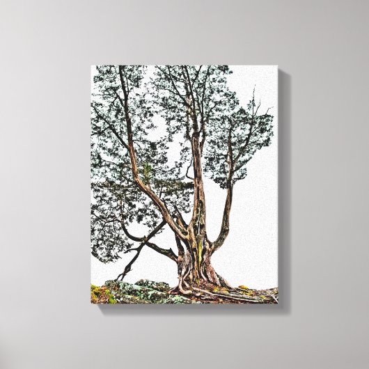 Eenvoudig Cypress Canvas Afdruk (Voorkant)