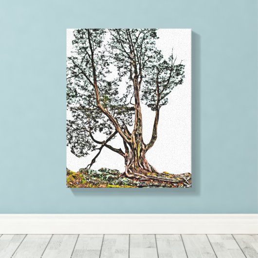 Eenvoudig Cypress Canvas Afdruk (Insitu (Houten vloer))