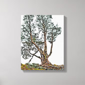 Eenvoudig Cypress Canvas Afdruk (Voorkant)