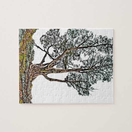 Eenvoudig Cypress Legpuzzel (Horizontaal)