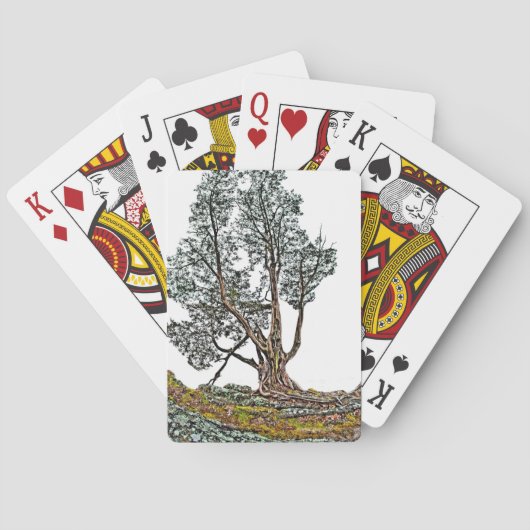 Eenvoudig Cypress Pokerkaarten (Achterkant)