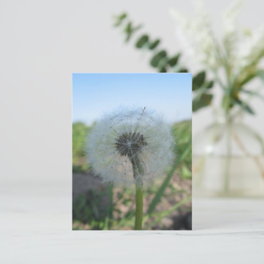 Eenvoudig Dandelion, verzend Ugly Briefkaarten Col (Staand voorkant)