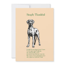 Eenvoudig Dankbaar – Great Dane Thanksgiving Foto