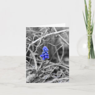 Eenvoudig de Uitgezochte Kleur van de Hyacinth van Kaart