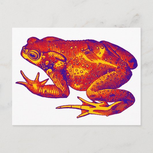 EENVOUDIG DOET HET BRIEFKAART (Voorkant)