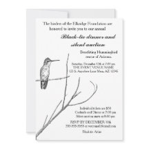 Eenvoudig een Hummingbird op een stok uitnodigen