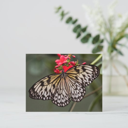 Eenvoudig een papieren vliegende vlinder briefkaart (Staand voorkant)