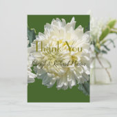 Eenvoudig Elegance White Bloom Chrysanthemum Wedde Bedankkaart (Staand voorkant)