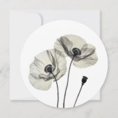 Eenvoudig Elegant Minimalisme Zwart-wit Poppies Kaart (Achterkant)