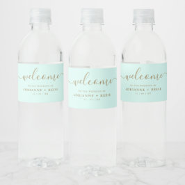 Eenvoudig Elegant Mint Green en Gold Wedding Water Waterfles Etiket