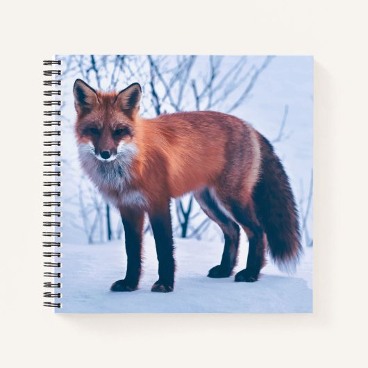 Eenvoudig Elegant Red Fox-kunstwerk | Laptop Notitieboek (Voorkant)