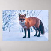 Eenvoudig Elegant Red Fox-kunstwerk | POSTER (Voorkant)