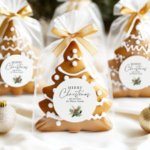 Eenvoudig Elegant Wit Kerstgroen