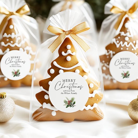 Eenvoudig Elegant Wit Kerstgroen Ronde Sticker