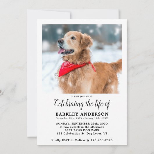 Eenvoudig foto van foto's van foto's van foto's kaart (Voorkant)