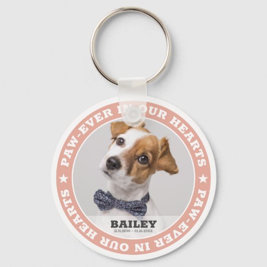 Eenvoudig geavanceerd geavanceerd fototoetsenbord  sleutelhanger (Voorkant)