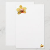 Eenvoudig geel, orchidee briefpapier (Voorkant / Achterkant)