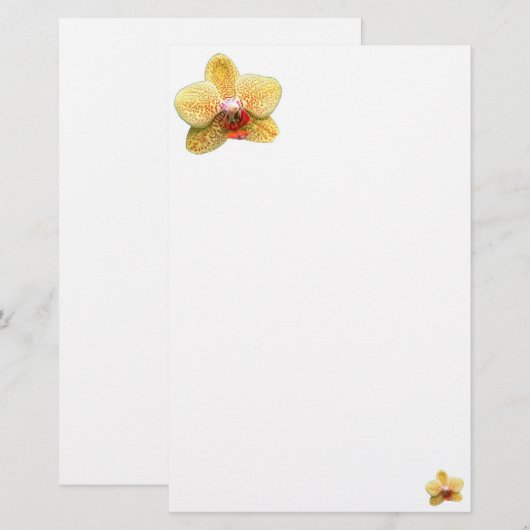 Eenvoudig geel, orchidee briefpapier (Voorkant / Achterkant)