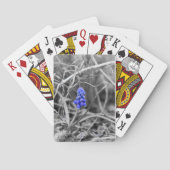 Eenvoudig gekleurde grafische hyacinth-selectiekle pokerkaarten (Achterkant)