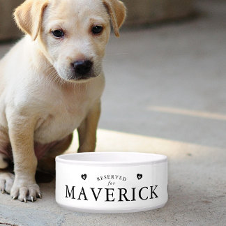Eenvoudig gereserveerd voor een hond naar keuze voerbakje