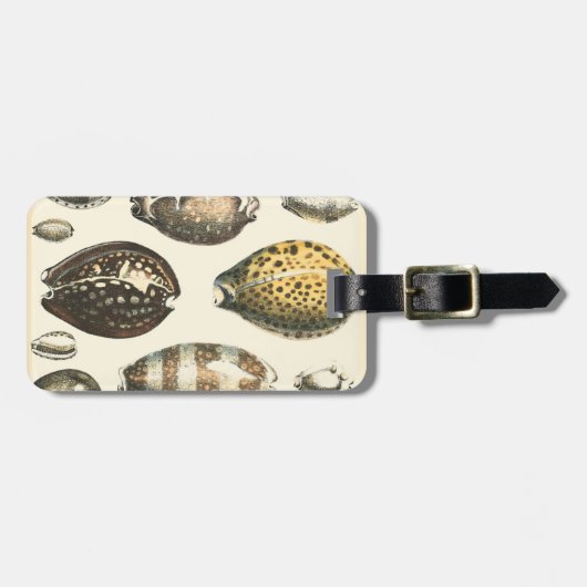 Eenvoudig gevormde zeeschelpen bagagelabel (Voorkant horizontaal)