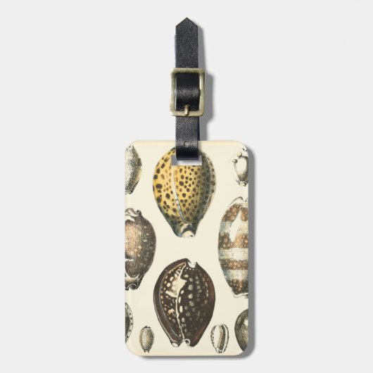 Eenvoudig gevormde zeeschelpen bagagelabel (Voorkant verticaal)
