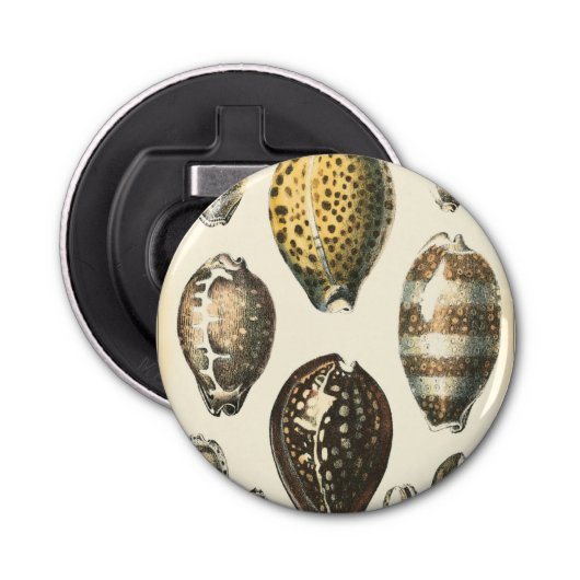 Eenvoudig gevormde zeeschelpen button flesopener (Voorkant)