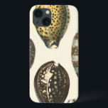 Eenvoudig gevormde zeeschelpen iPhone 13 hoesje<br><div class="desc">Ga op het warme zand liggen en zoek de verborgen schatten. Dit schilderij van Kobeit legt het prachtige waterleven vast dat aan land is gevonden. Kobeit vangt de prachtige serie sepia-getonde seizoenen in een  toon. Haal vandaag je mooie oceaankunst op je volgende Zazzle-product.</div>