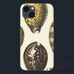 Eenvoudig gevormde zeeschelpen iPhone 13 hoesje<br><div class="desc">Ga op het warme zand liggen en zoek de verborgen schatten. Dit schilderij van Kobeit legt het prachtige waterleven vast dat aan land is gevonden. Kobeit vangt de prachtige serie sepia-getonde seizoenen in een  toon. Haal vandaag je mooie oceaankunst op je volgende Zazzle-product.</div>