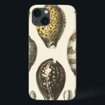 Eenvoudig gevormde zeeschelpen iPhone 13 hoesje<br><div class="desc">Ga op het warme zand liggen en zoek de verborgen schatten. Dit schilderij van Kobeit legt het prachtige waterleven vast dat aan land is gevonden. Kobeit vangt de prachtige serie sepia-getonde seizoenen in een  toon. Haal vandaag je mooie oceaankunst op je volgende Zazzle-product.</div>