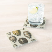 Eenvoudig gevormde zeeschelpen glazen onderzetter (Schuin)